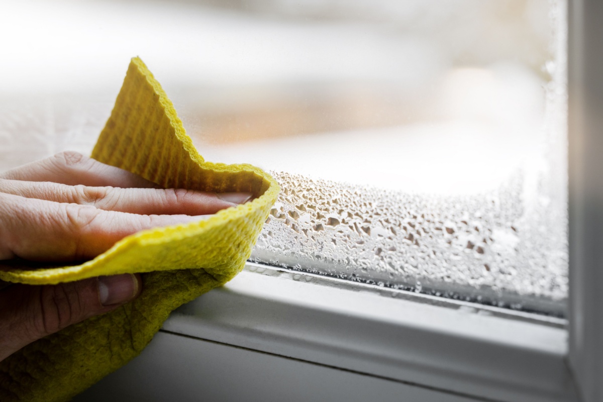 How To Dehumidify Your Home - ExpeDry